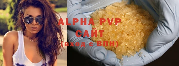 стаф Дмитриев