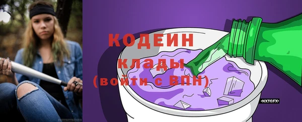 стаф Дмитриев