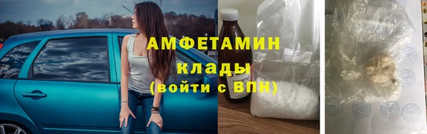 стаф Дмитриев