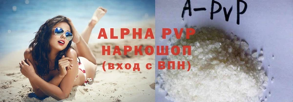 эйфоретик Гусев