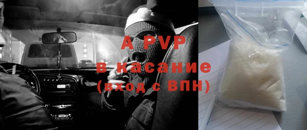 эйфоретик Гусев