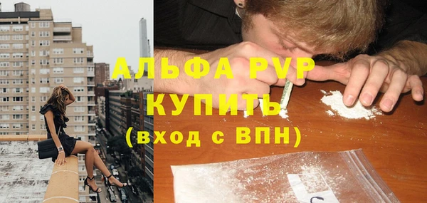 эйфоретик Гусев