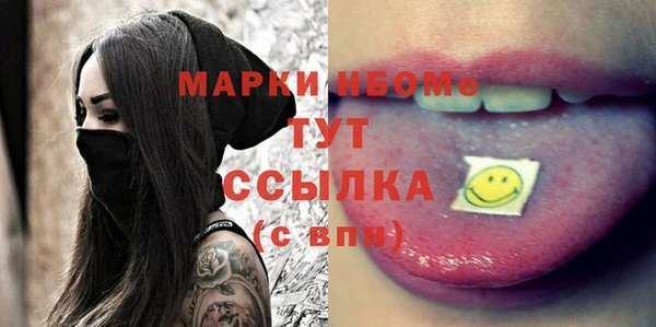 стаф Дмитриев